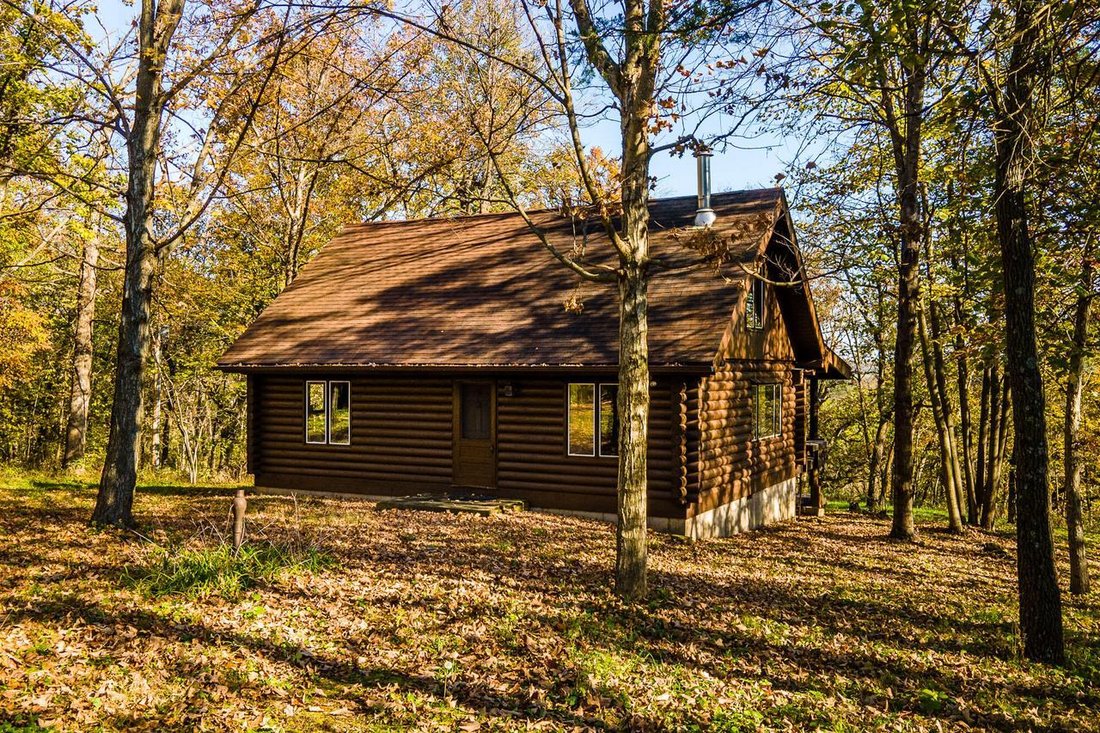 Maison à Hollandale, Wisconsin, États-Unis 1 - 18215483