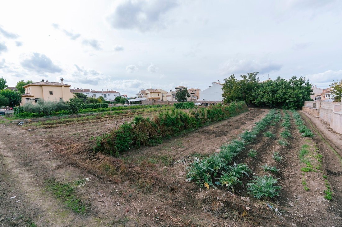 Land in La Zubia, Andalusia, Spain 5 - 19173384