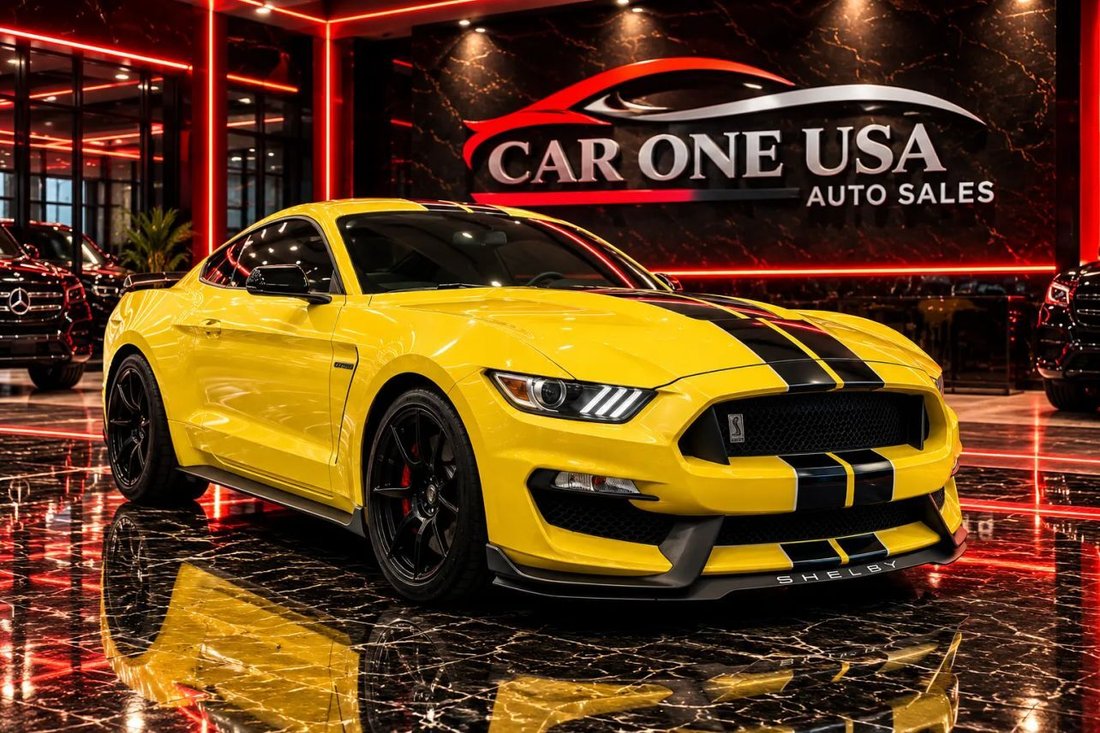 Coupe in West Park, FL, United States 1 - 19173838