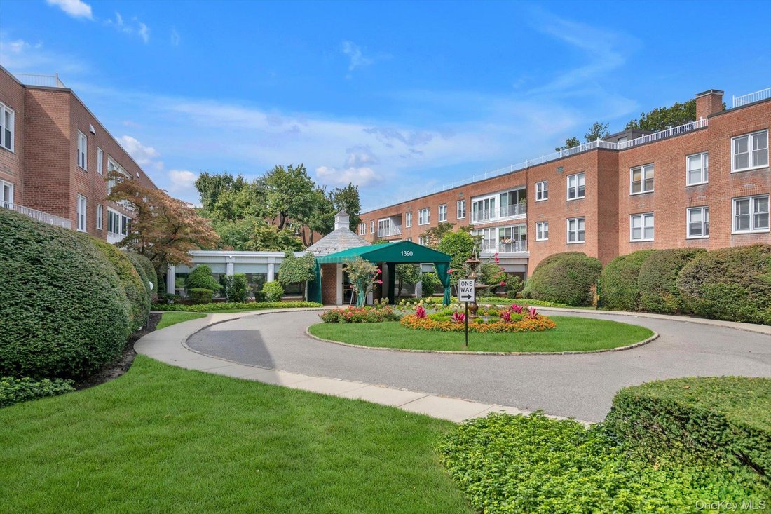 Cooperativa a Hewlett, New York, Stati Uniti 1 - 19173162
