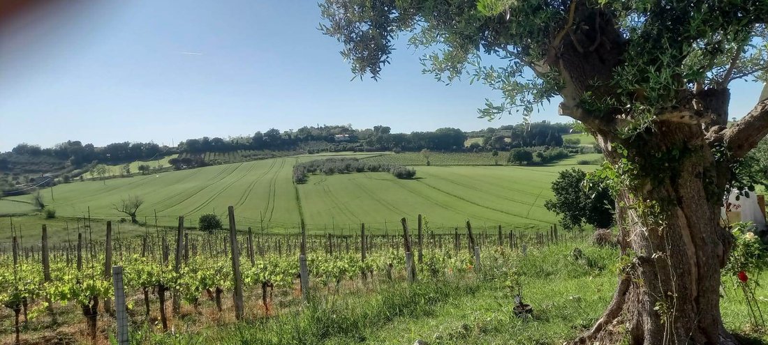 Country House in Coriano, Emilia-Romagna, Italy 2 - 19181170