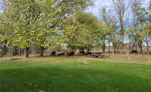 Casa a Nerstrand, Minnesota, Stati Uniti 1