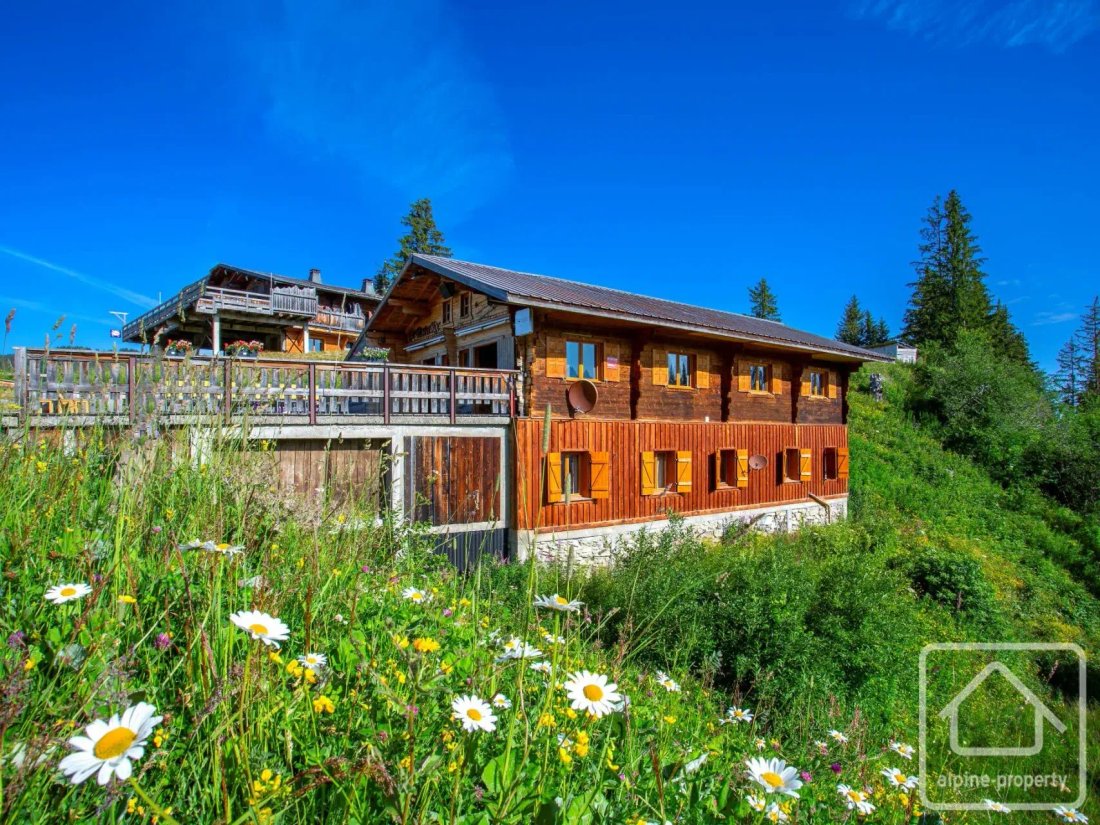 Chalet in Saint-Jean-d'Aulps, Auvergne-Rhône-Alpes, France 1 - 19170356