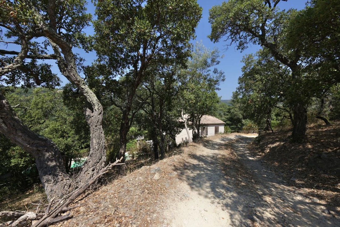 Apartment in Grimaud, Provence-Alpes-Côte d'Azur, France 4 - 19170085