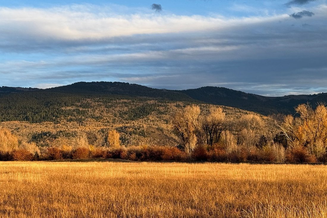 Terreno a Driggs, Idaho, Stati Uniti 2 - 19174518