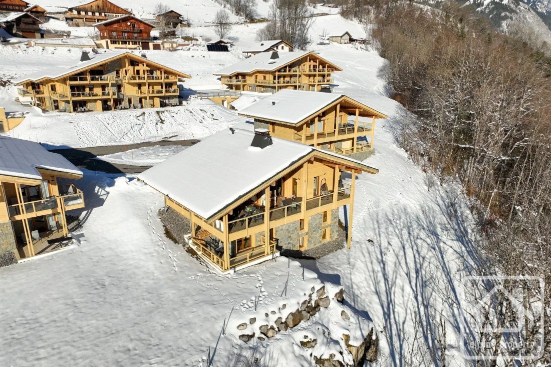 Chalet in Abondance, Auvergne-Rhône-Alpes, France 1 - 19170243