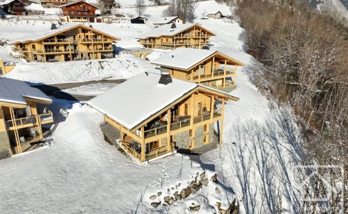 Chalet in Abondance, Auvergne-Rhône-Alpes, France 1