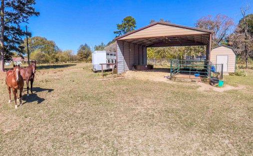 Haus in Hallsville, Texas, Vereinigte Staaten 1