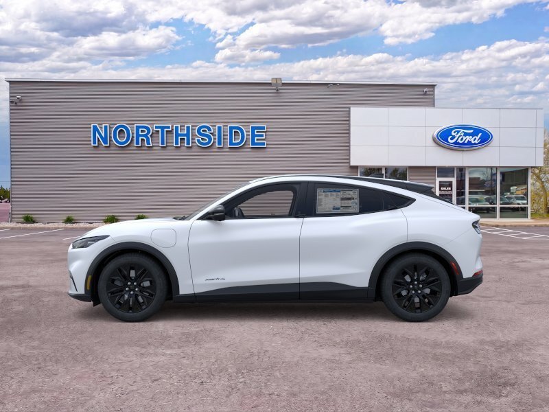 Suv in Portland, OR, United States 4 - 19175221