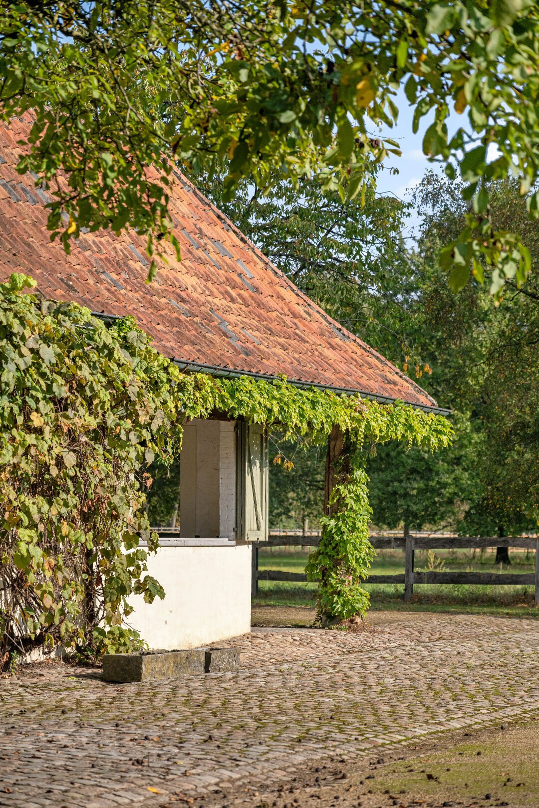 Villa in Herenthout, Flanders, Belgium 5 - 19176009