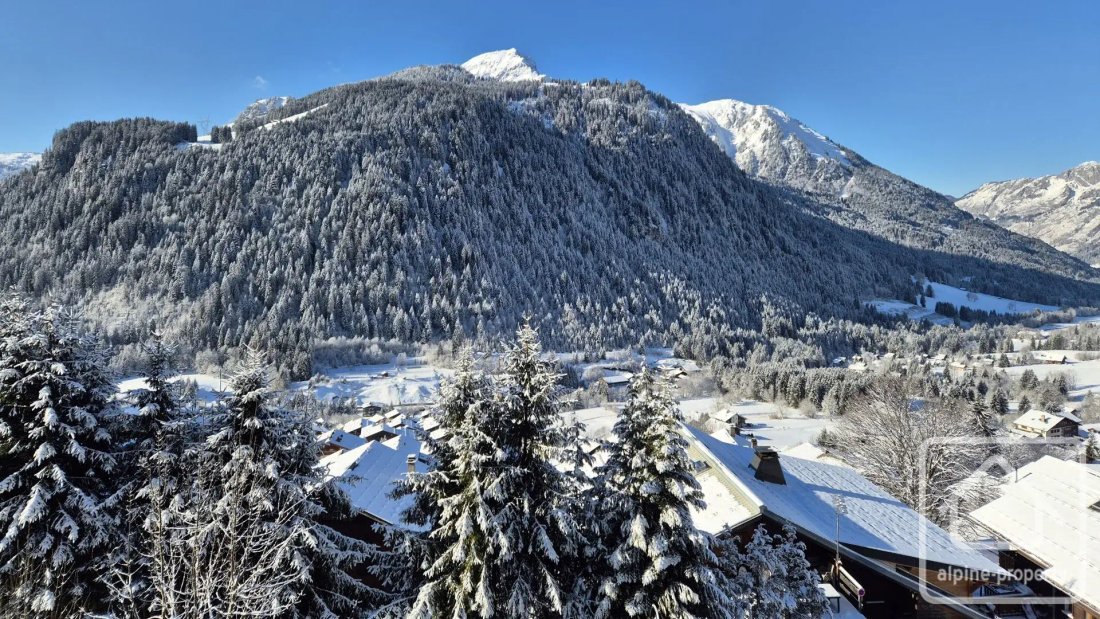 Apartamento en Châtel, Auvernia-Ródano-Alpes, Francia 5 - 19170237