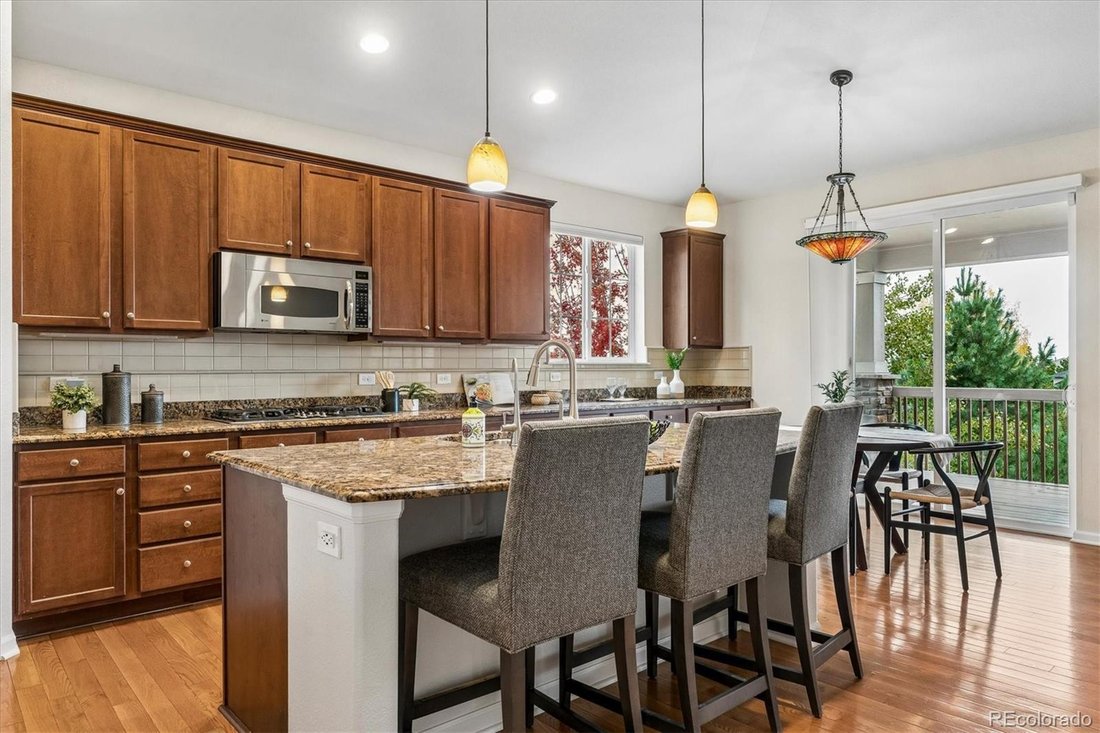 House in Highlands Ranch, Colorado, United States 4 - 19169153