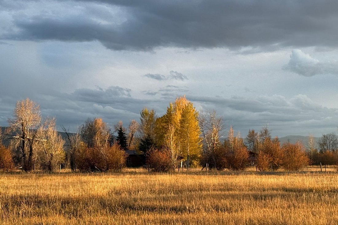 Terreno a Driggs, Idaho, Stati Uniti 3 - 19174518