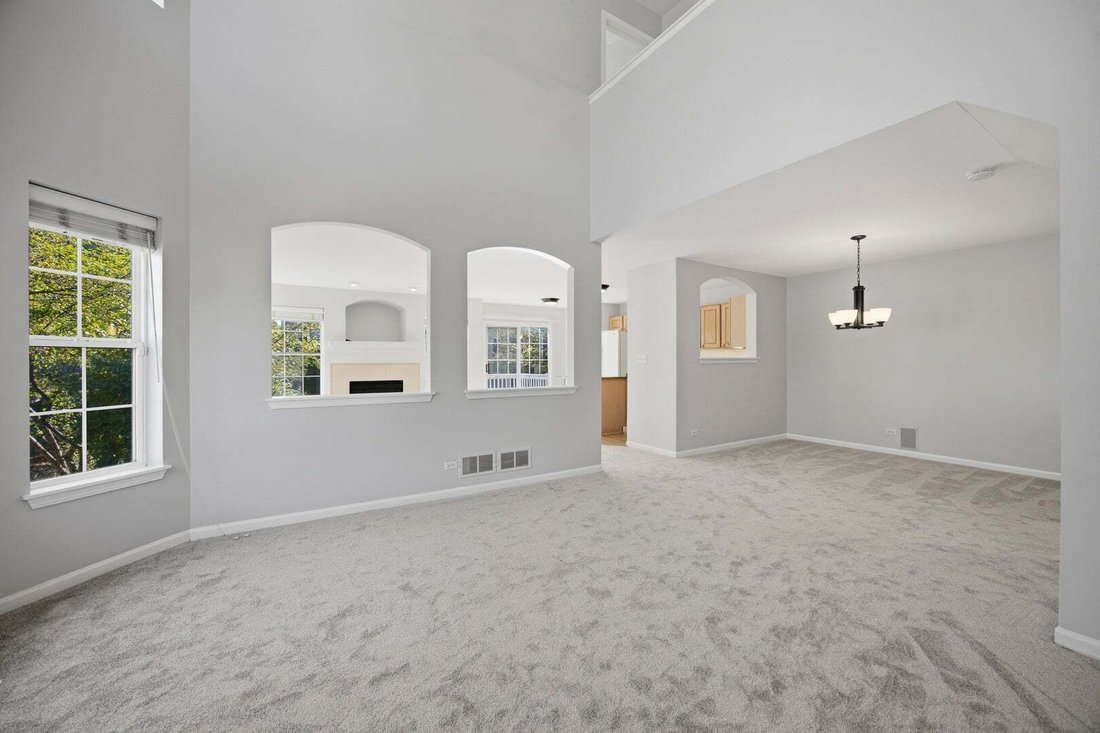 Residenza a Lisle, Illinois, Stati Uniti 3 - 19172285