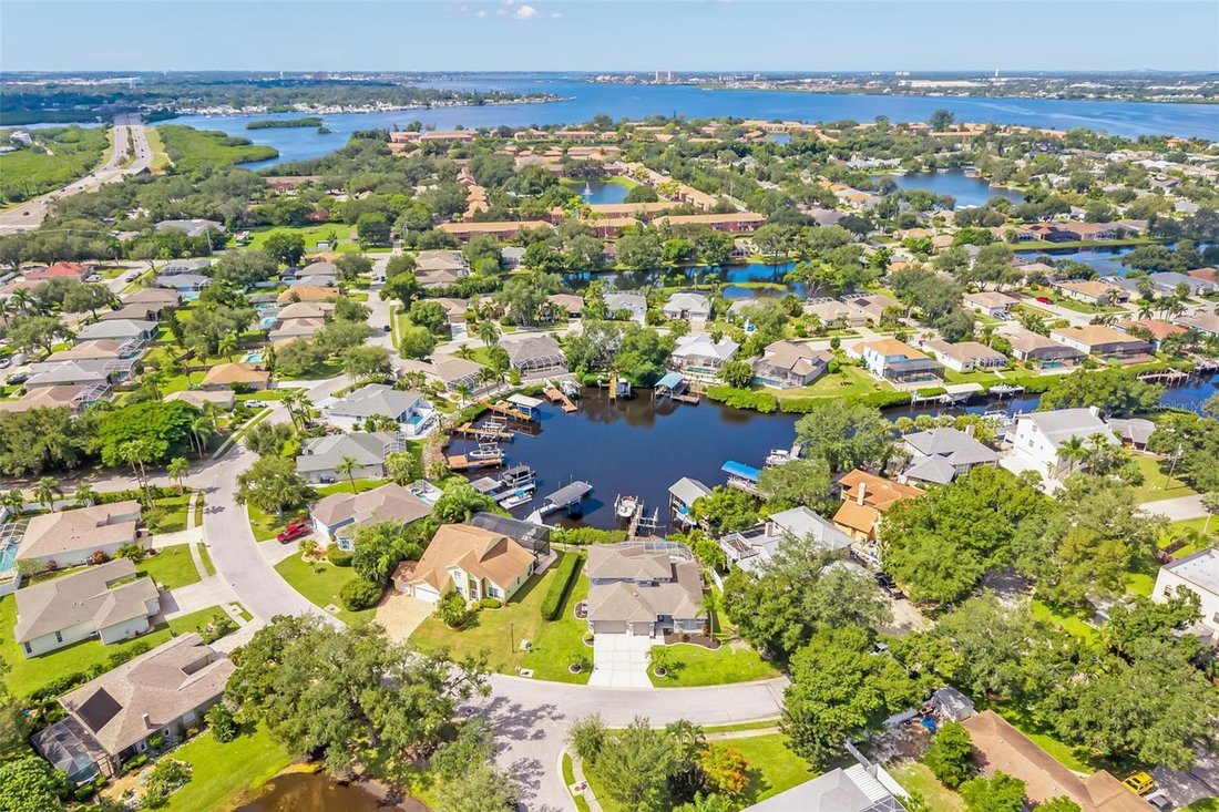 House in Bradenton, Florida, United States 1 - 19172148