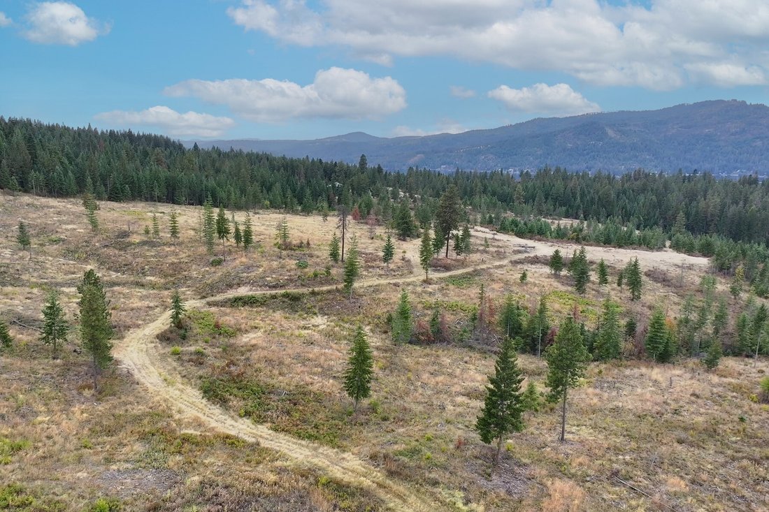Terreno a Harrison, Idaho, Stati Uniti 4 - 19174532