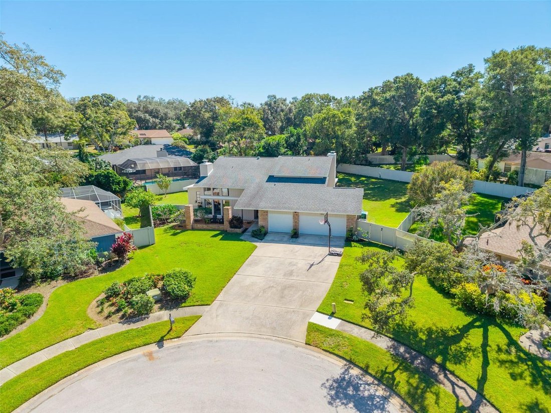 Casa a Palm Harbor, Florida, Stati Uniti 4 - 19169099