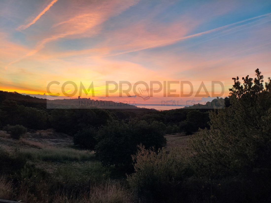 Land in Genoa, Palma, Balearic Islands 1 - 19179964
