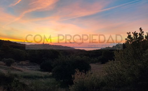 Land in Genoa, Palma, Balearic Islands 1