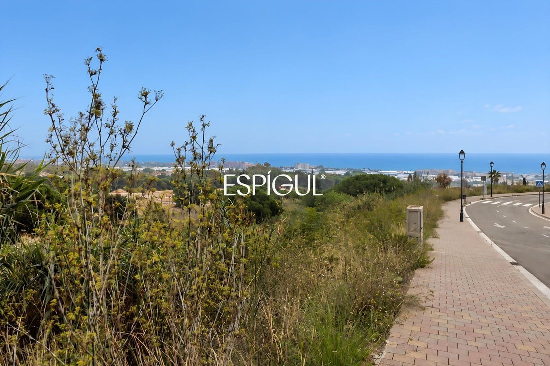 Finca a Premià de Dalt, Catalogna, Spagna 4 - 19169053