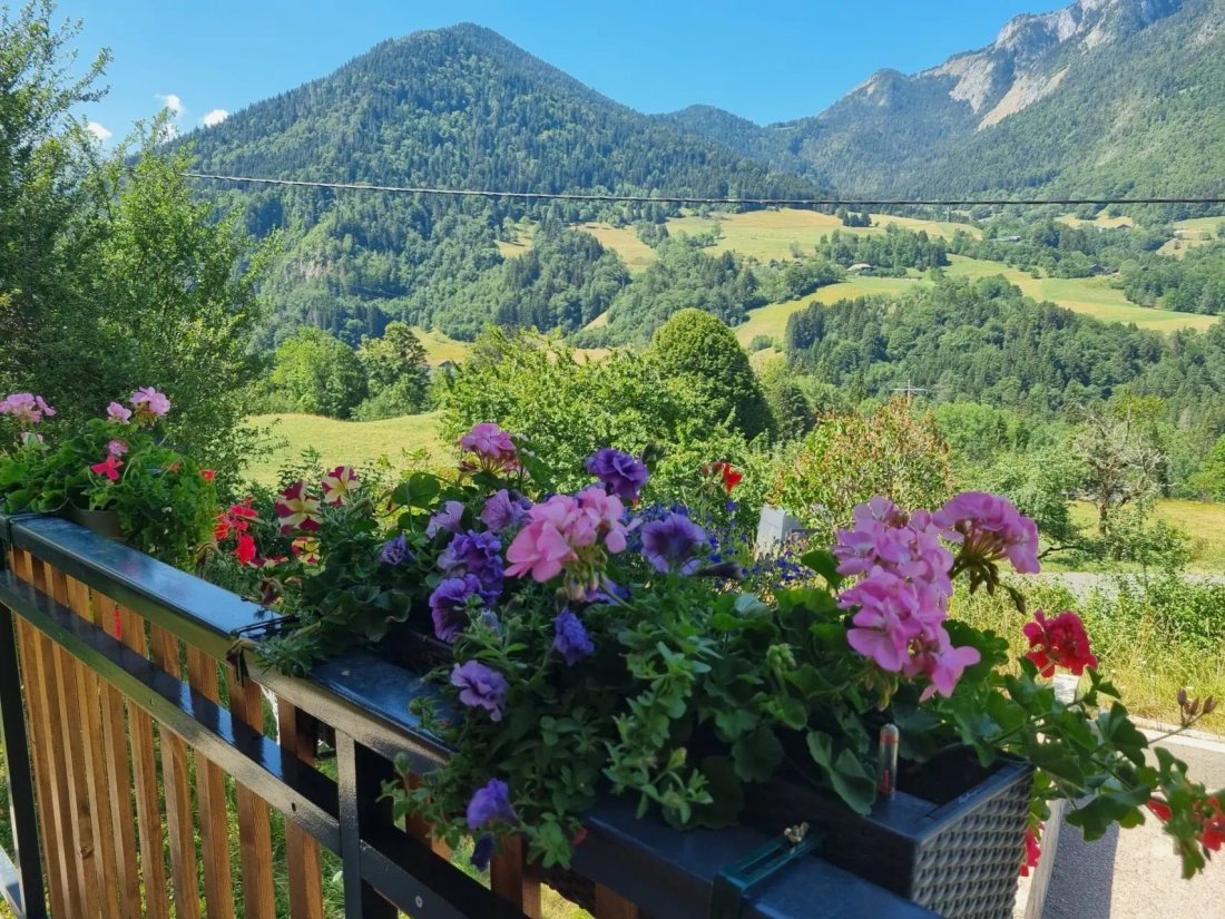 Chalet in Le Biot, Auvergne-Rhône-Alpes, France 3 - 19170401