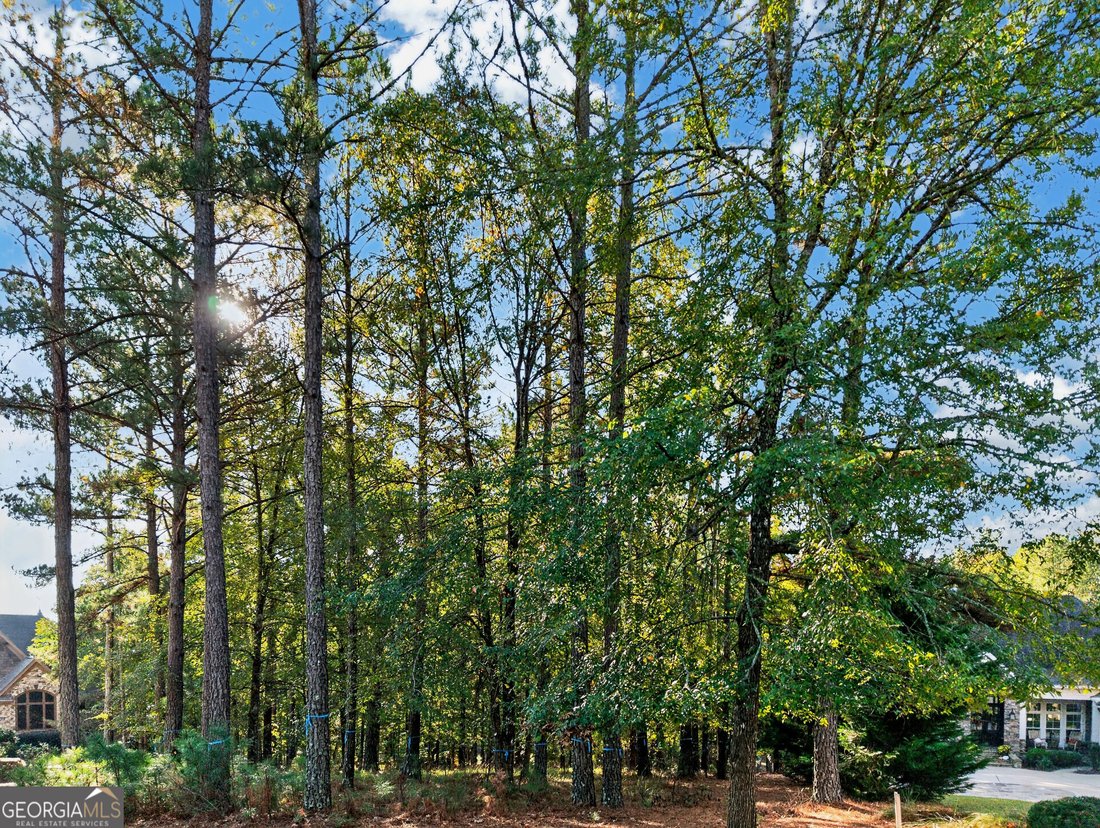 Land in Greensboro, Georgia, United States 2 - 19170720