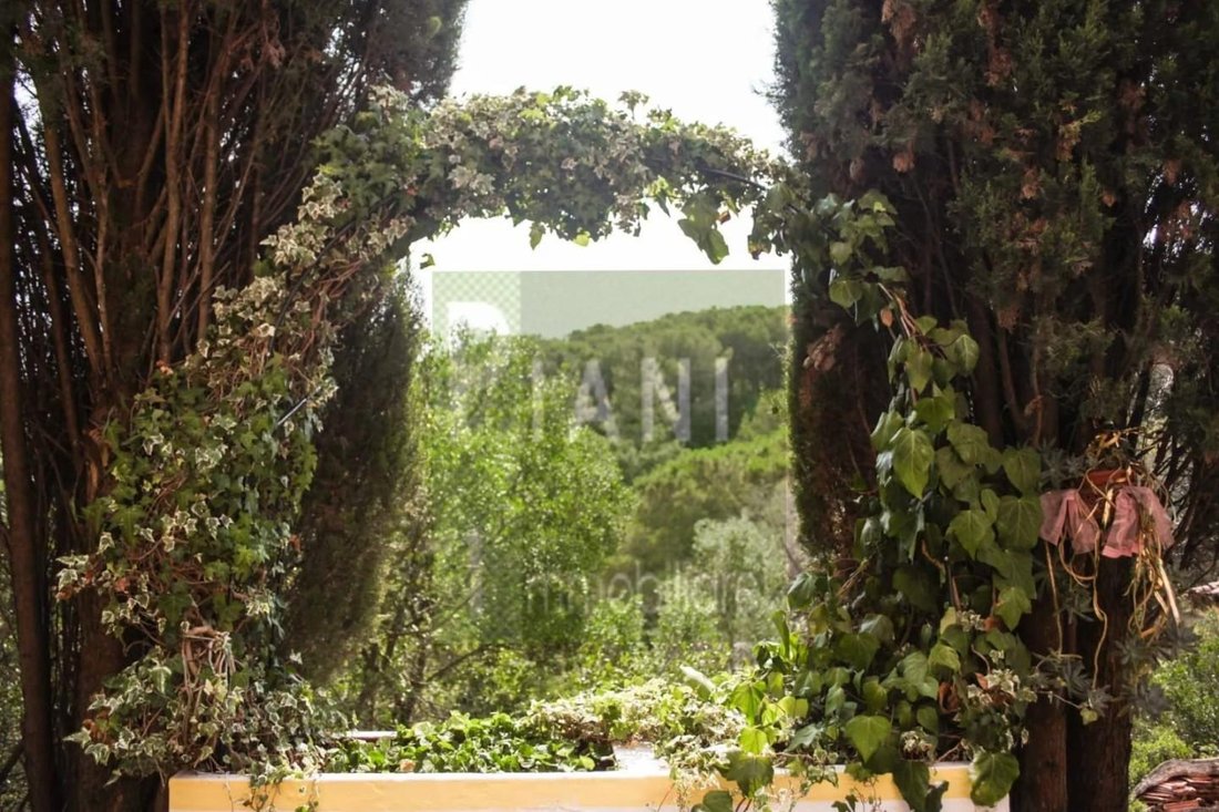 Villa in Rosignano Marittimo, Tuscany, Italy 2 - 19173017