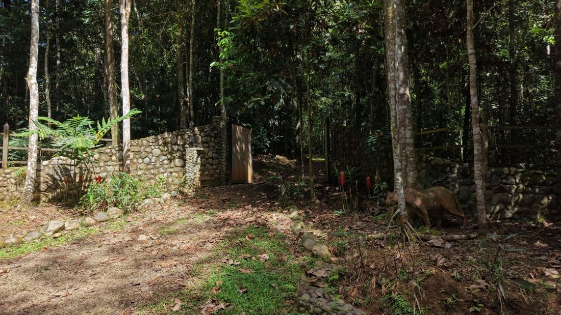 Casa en San Isidro de El General, San José, Costa Rica 2 - 19175525