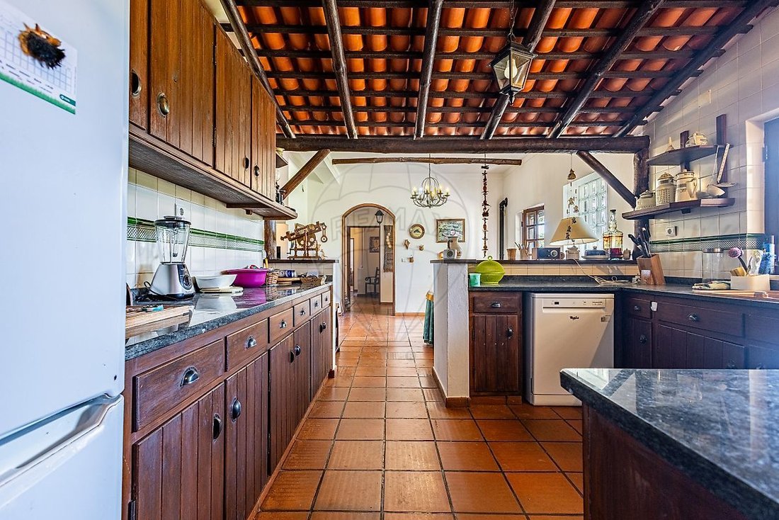 Finca in Almoster, Santarem District, Portugal 4 - 19169526
