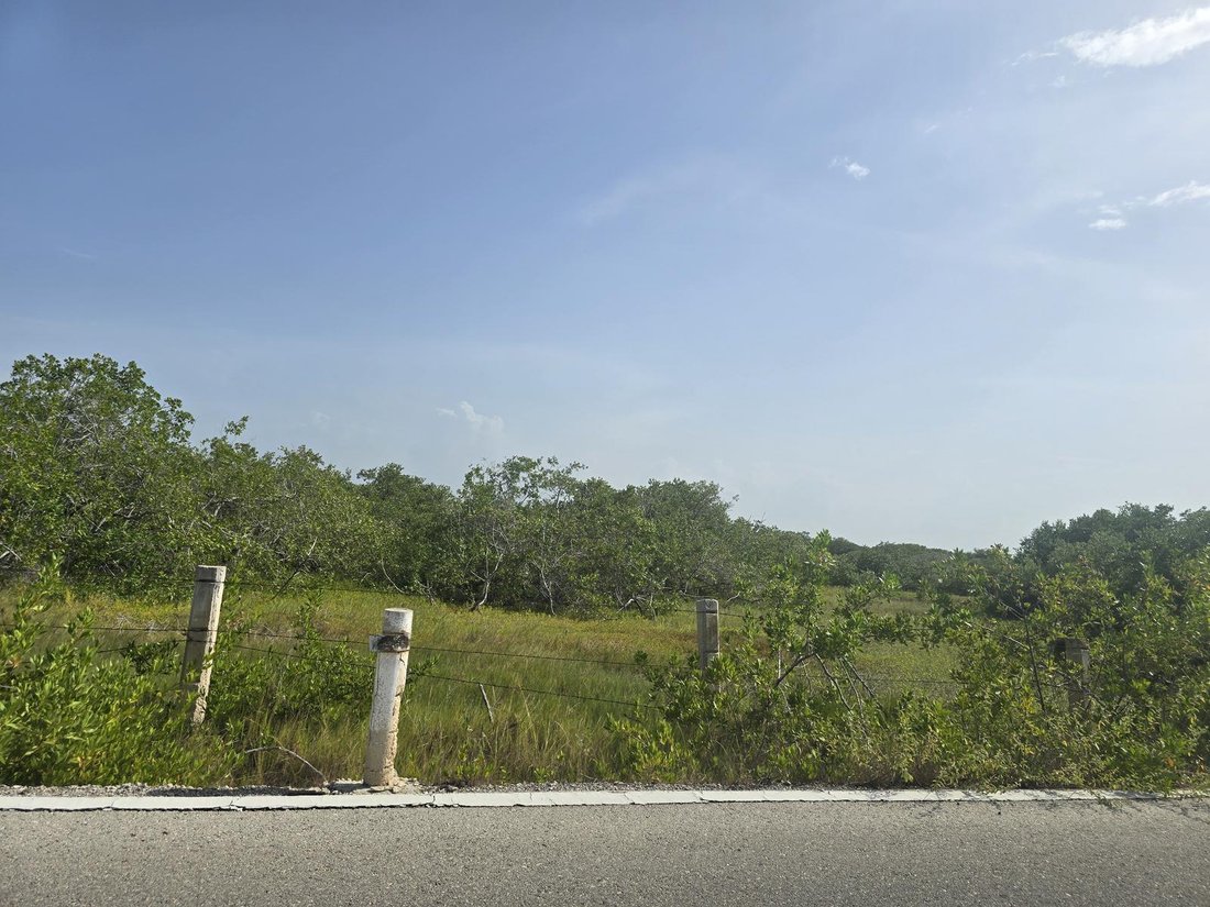 Land in Chabihau, Yucatan, Mexico 2 - 19173102
