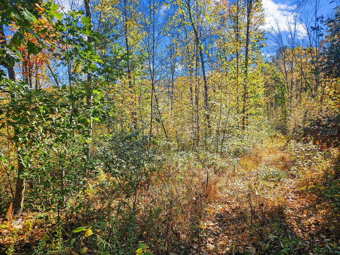 Farm Ranch in Woodland, Pennsylvania, United States 2 - 19173943