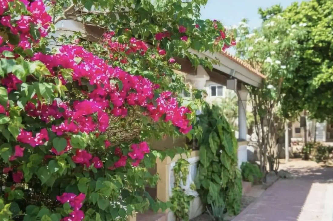 Maison à Noord, Aruba 2 - 15904134