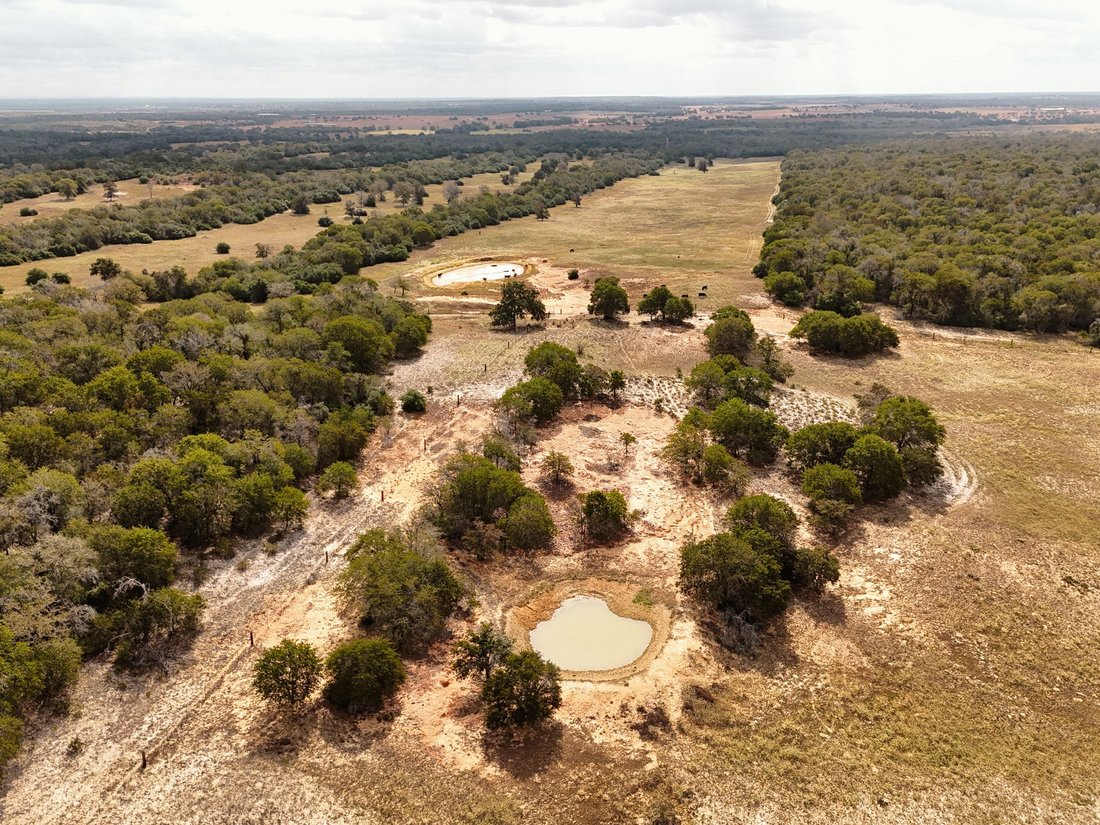 Farm Ranch in Luling, Texas, United States 1 - 19181747