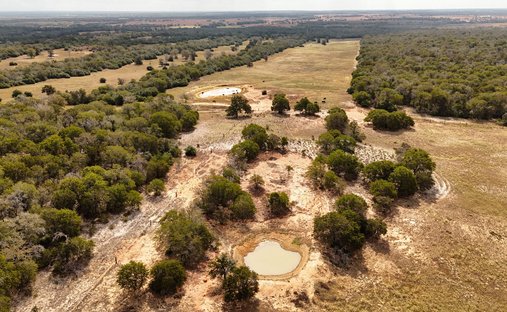 Farm Ranch in Luling, Texas, United States 1