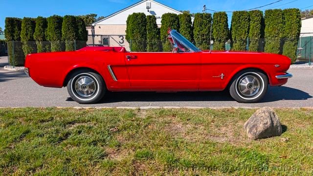 Ford Mustang in Calverton, NY, United States 3 - 19172733