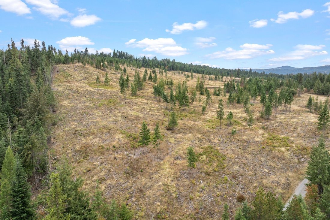 Terreno a Harrison, Idaho, Stati Uniti 2 - 19174532