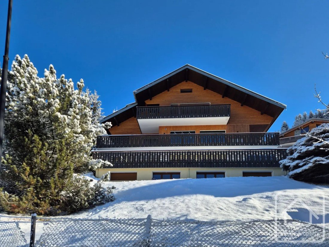 Apartamento en Châtel, Auvernia-Ródano-Alpes, Francia 2 - 19170237