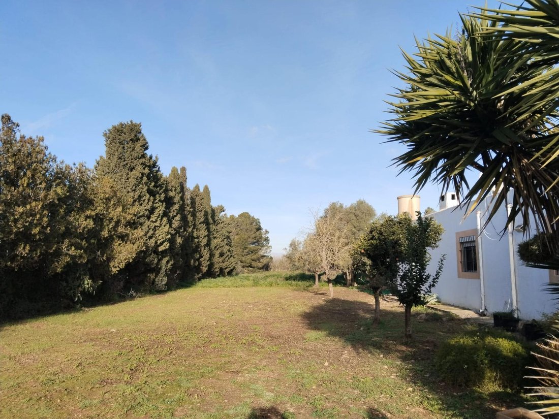 Villa a Felanitx, Isole Baleari, Spagna 1 - 19175034