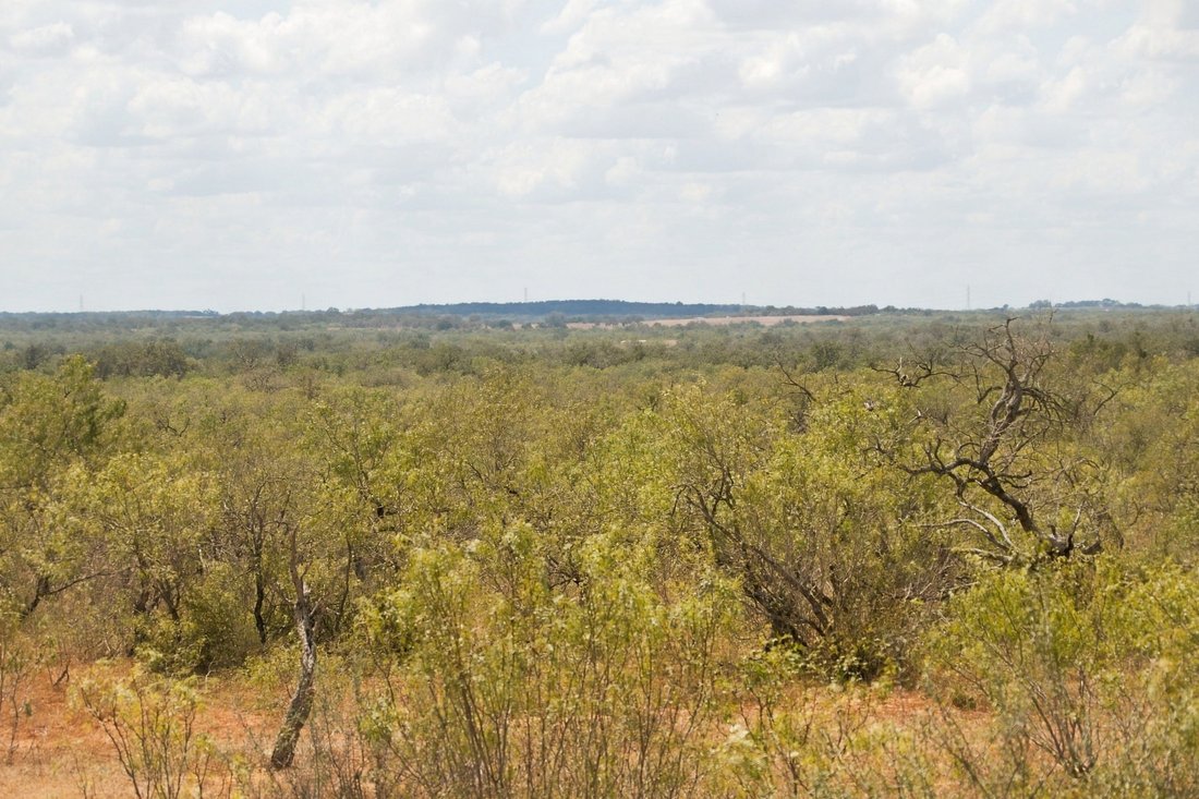 Rancho en Nixon, Texas, Estados Unidos 5 - 19171144