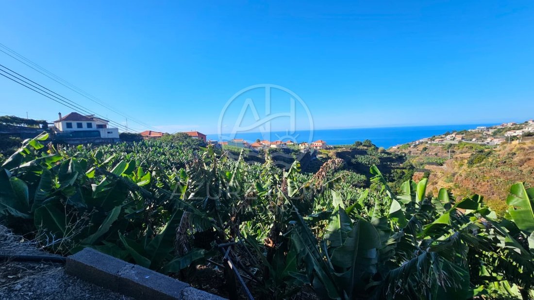 Land in Ponta do Sol, Madeira, Portugal 3 - 19175486