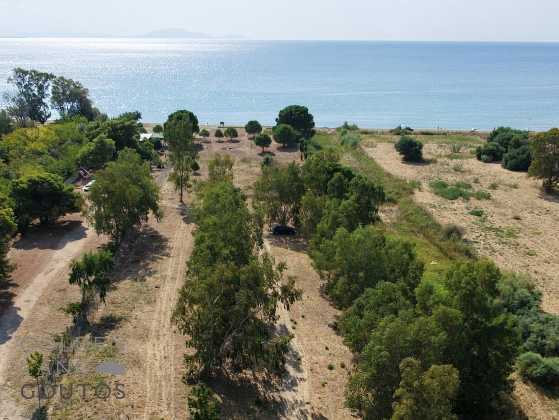 Terrain à East Attica, Attique, Grèce 2 - 19169707