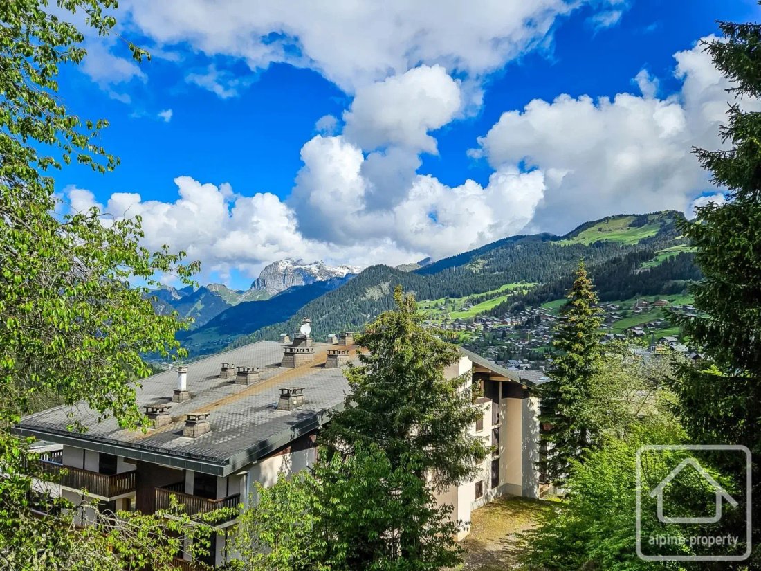 Apartment in Châtel, Auvergne-Rhône-Alpes, France 3 - 19170481