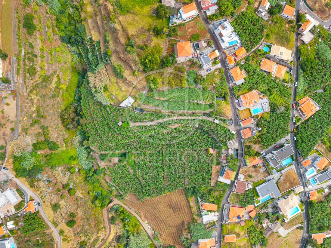 Land in Ponta do Sol, Madeira, Portugal 5 - 19175486