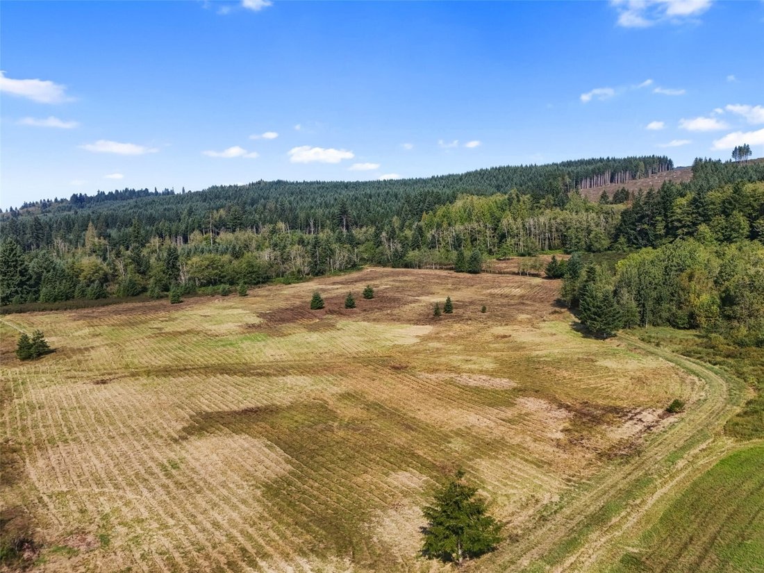 Land in Onalaska, Washington, Vereinigte Staaten 4 - 19169740