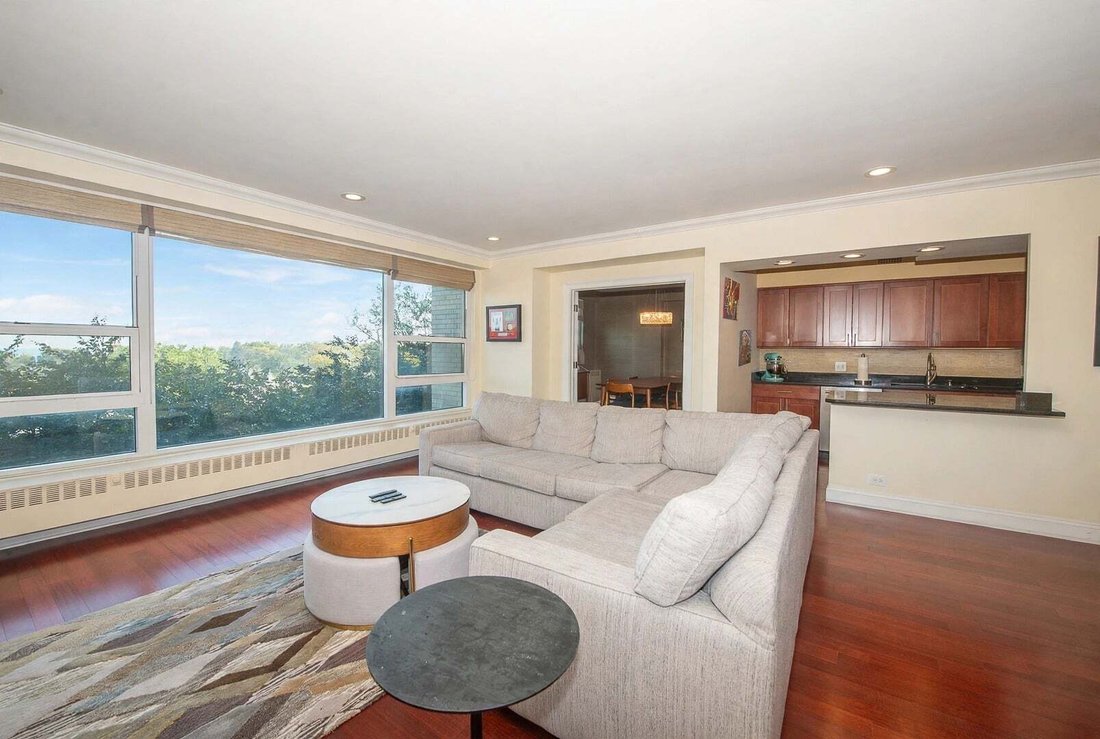 Condo in Chicago, Illinois, United States 5 - 19180501