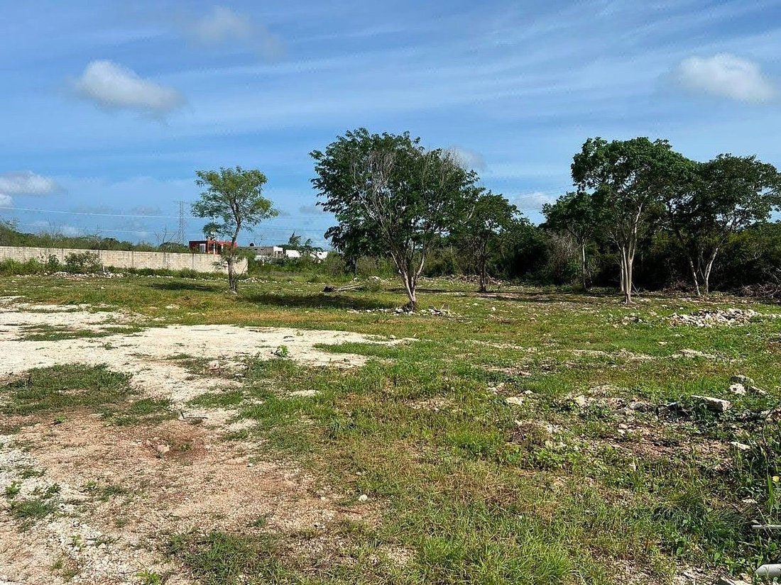 Terreno a Temozón Norte, Yucatán, Messico 4 - 19178423