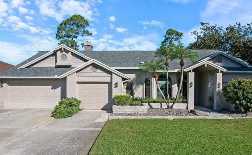 Casa en Oldsmar, Florida, Estados Unidos 1