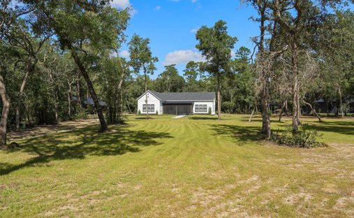 Haus in Silver Springs, Florida, Vereinigte Staaten 1