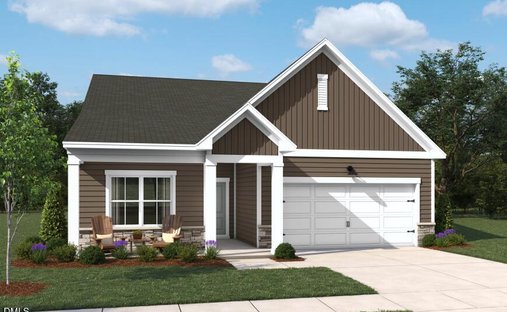 House in Rolesville, North Carolina, United States 1