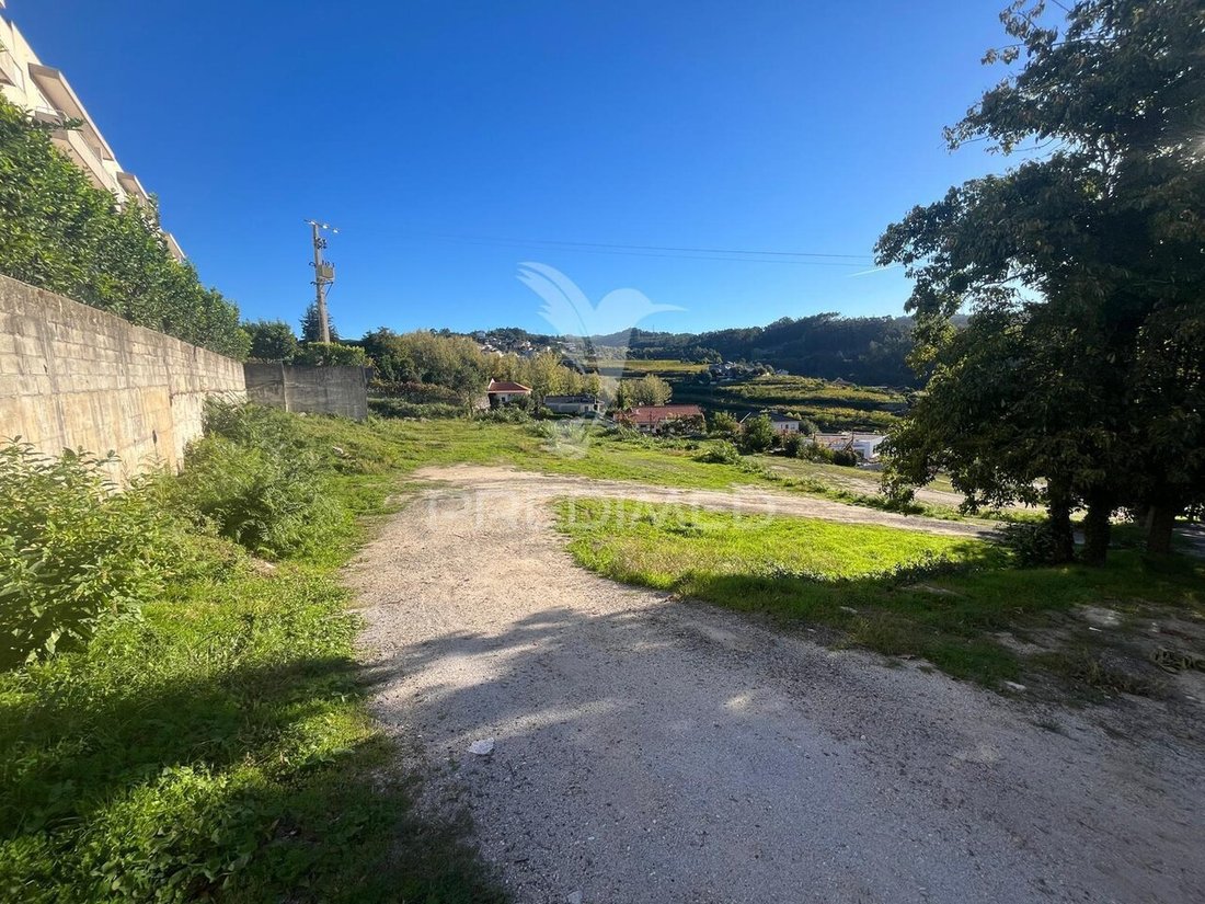Terrain à São Torcato, Braga, Portugal 5 - 19175246